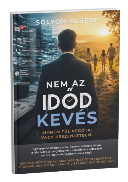 Nem az időd kevés – ingyenes esettanulmány borítója